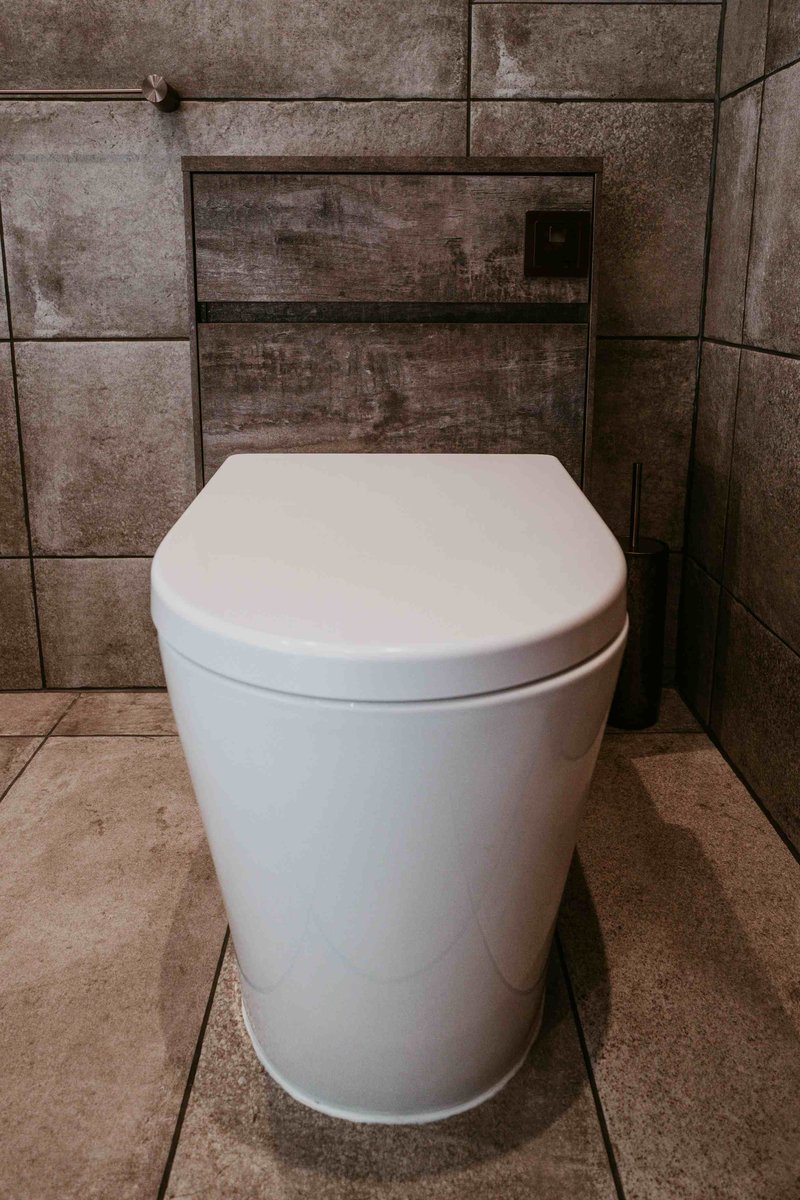Back-to-wall WC with brushed bronze flush plate